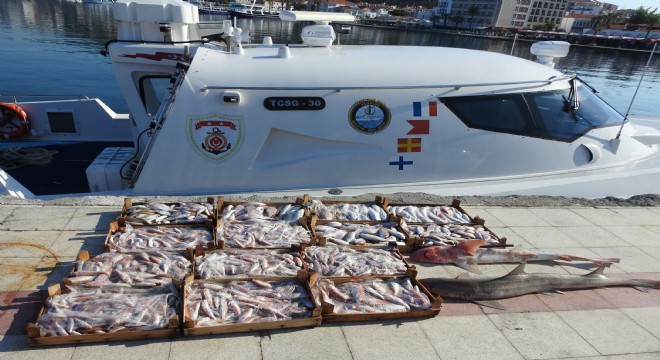 14 Kasa balık ve 43 Kaçak göçmen yakalandı