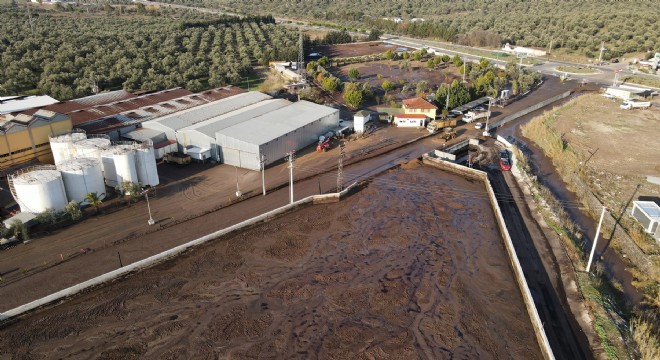 AYVALIK'TA ÇEVRE FELAKETİ