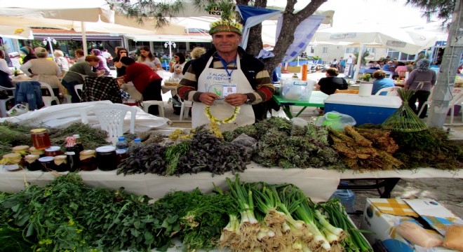 Alaçatı Ot Festivali stant başvuru şartları açıklandı