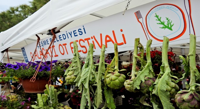 Alaçatı Ot Festivali yine dopdolu geçecek