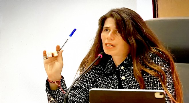 Başkan Denizli'den mecliste sert çıkış!