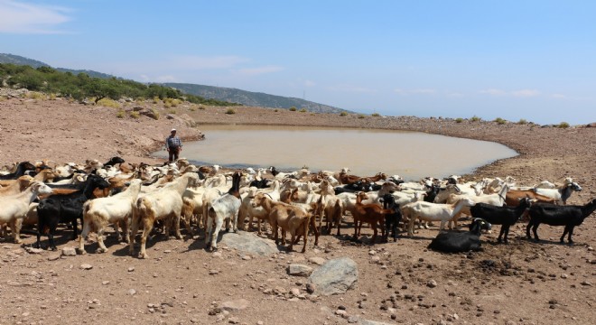 Büyükşehir den  yaşam vahaları 