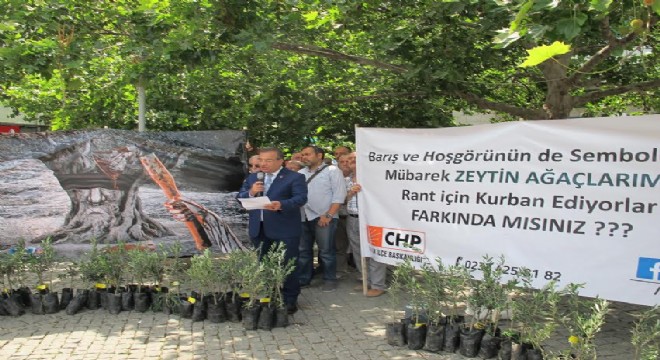 CHP’den zeytin fidanlı protesto