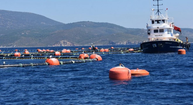 CHP li Bakan,  Denizler temiz, orkinoslar özgür kalsın 