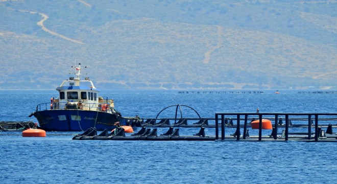 CHP li Bakan dan balık çiftlikleri soruları