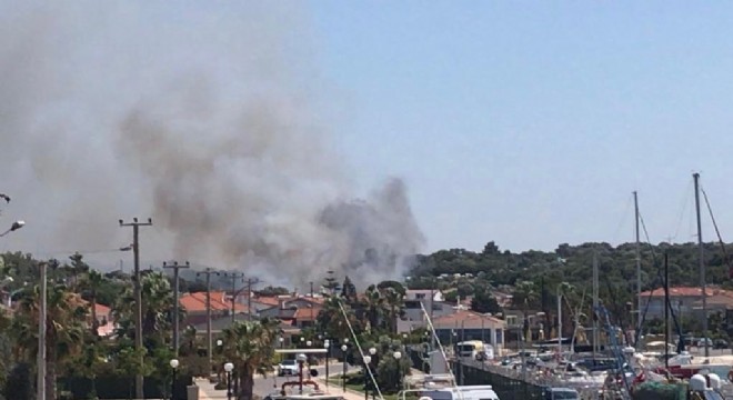 Çeşme Dalyan da korkutan yangın!