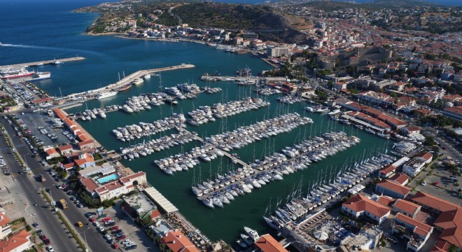 Çeşme Marina, Deniz Patlıcanlarına Ev Sahipliği Yapıyor!