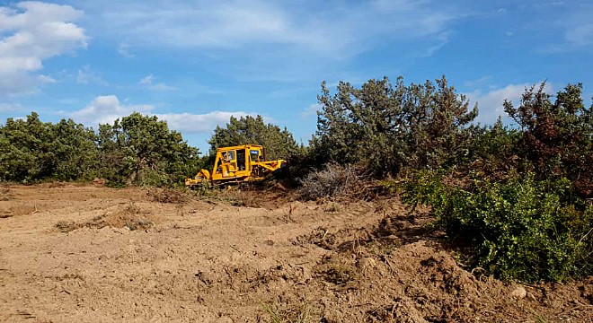 Çeşme'de, ağaç dikmek için ağaç sökülmesi tepkilere yol açtı