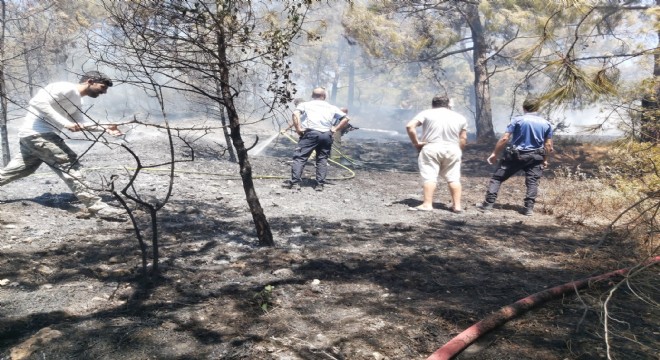 Çeşme’de çıkan yangın söndürüldü