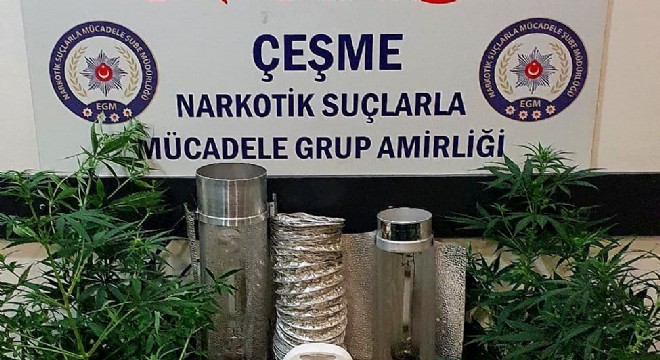 Çeşme’de evinde uyuşturucu yetiştirecekti!