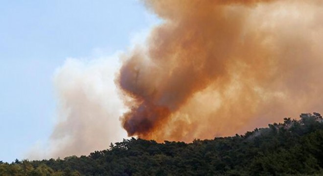 Çeşme de orman yangını