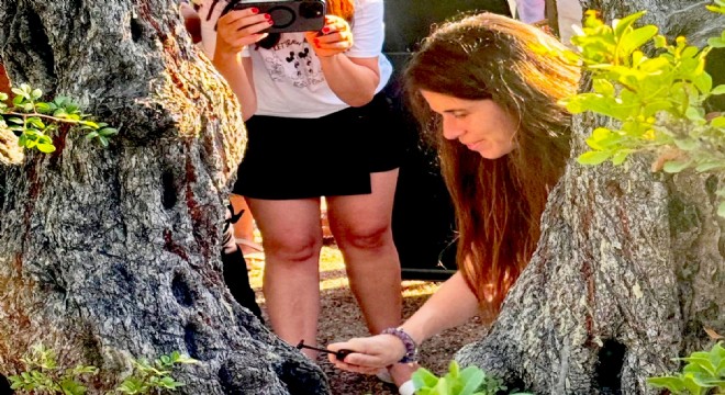 Çeşme’den Sakız Damlamaya Başladı!