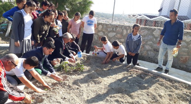 Çeşmeli öğrenciler 1500 sebze fidanı dikti