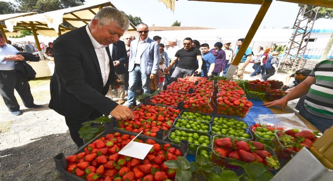 Çileği ile ünlü Emiralem de festival coşkusu yaşandı