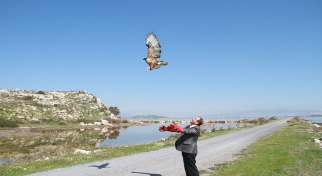 “Davetsiz misafirler” yeniden doğaya döndü