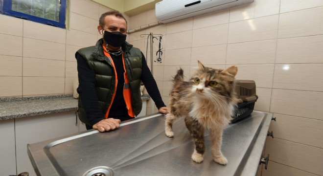 Depremzede kediyi Haluk Levent sahiplendi