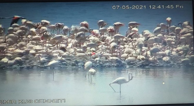 Doğada ilk yürüyüş başladı