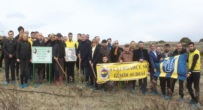 Fenerbahçeli Koray Şener için Çeşme ye 300 sakız fidanı