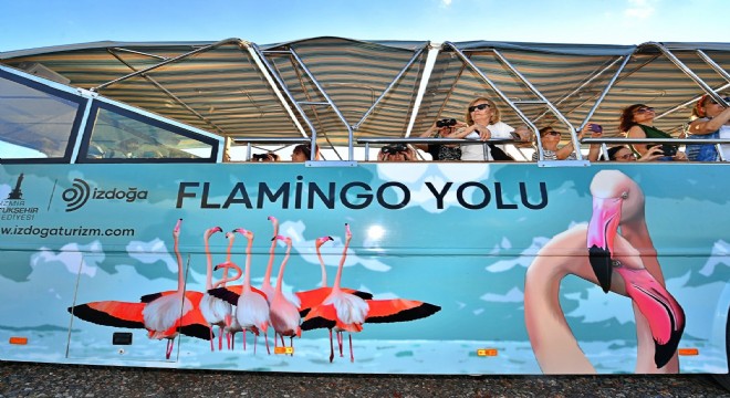 Flamingolar İzmirlileri büyülüyor