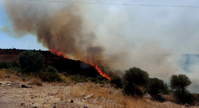 Germiyan’da korkutan yangın!