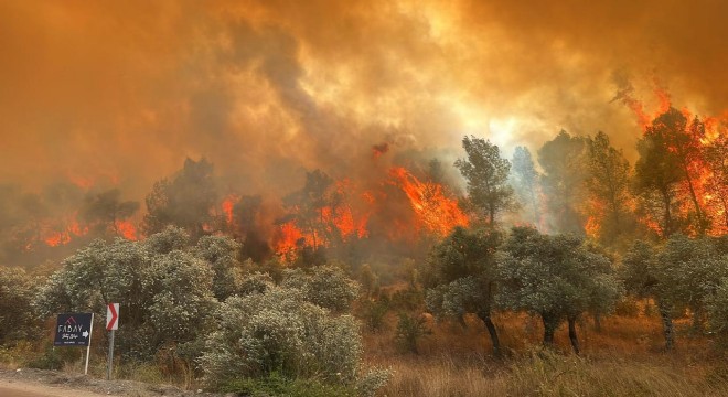 İzmir’de ormanlara giriş yasaklandı