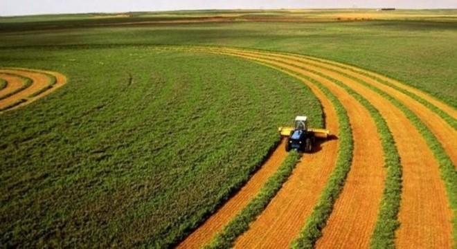 Eskinazi: Korona Virüs, tarımın önemini ortaya koydu