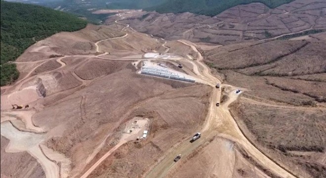 Kazdağları ndaki ağaç katliamına bir tepki de Çeşme den geldi