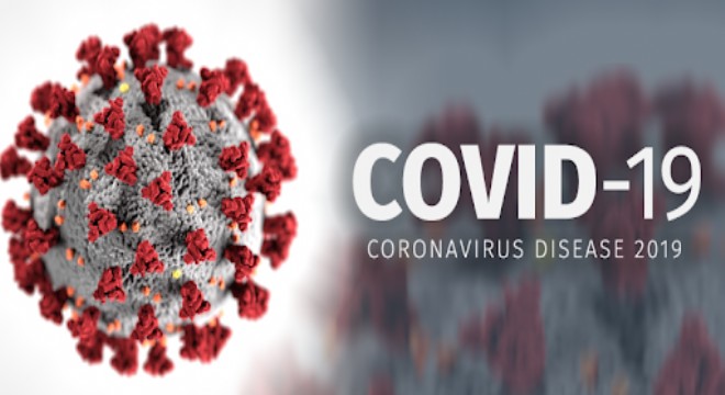 Koronavirüs Mitleri