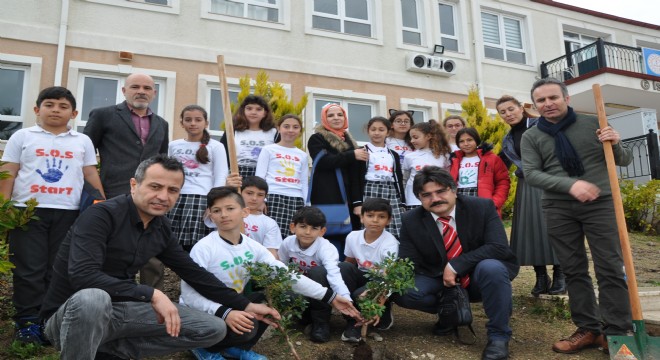 Öğrencilerin Sakız Ağacı heyecanı.