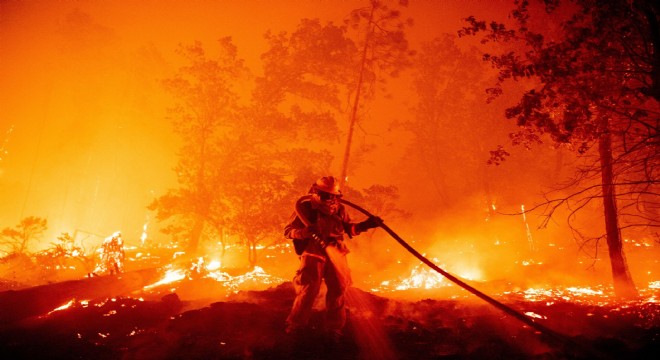 “Orman yangınlarının yüzde 99’u insan kaynaklı”