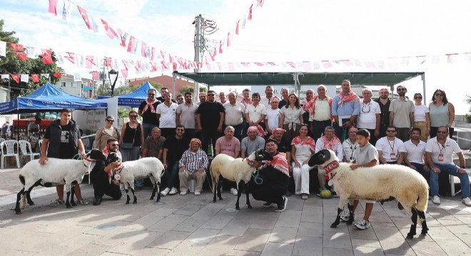 Ovacık Tarım ve Sakız Koyunu Şenliği tamamlandı
