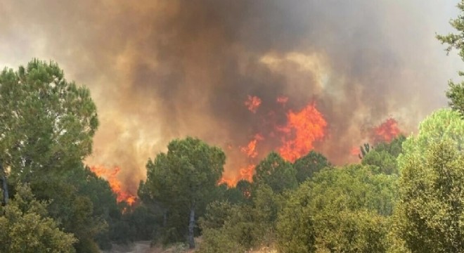 Sakız Adası ndaki yangın kontrol altında