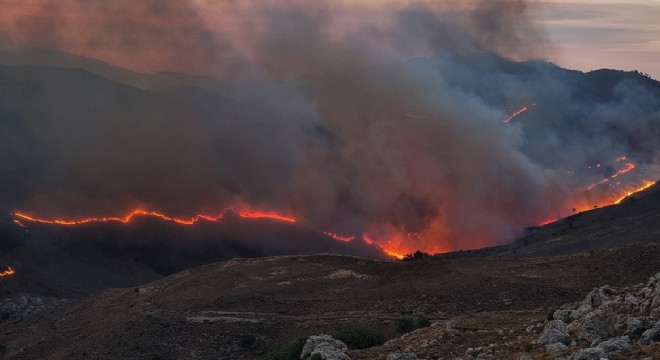 Sakız Adası nın yüzde 20 si yandı!