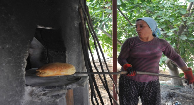 Seferihisar da “Ata Ekmeği ve Armola Şenliği” başlıyor