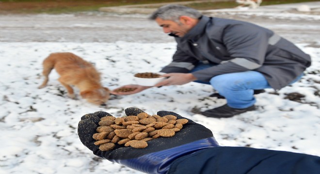 Soğuk kış günlerinde sıcak bir dost eli