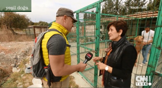 Sokağa atılan köpeklerin hikayesi ekrana taşındı