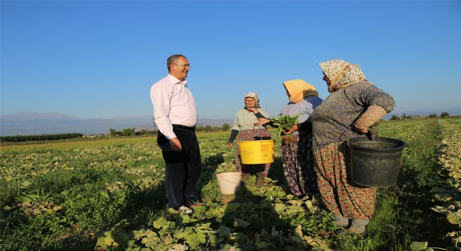 Tarım Bakanı’nı İzmir’de staj yapmaya çağırdı