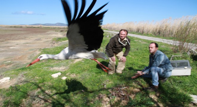 Uçun kuşlar uçun!