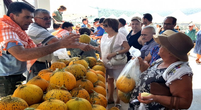 Urla,  Sarı kokulu  festival ile coştu