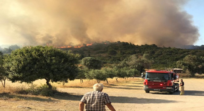 Urla'da  Korkutan yangın!