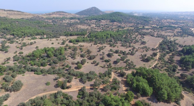 oliVelo için başvurular başladı