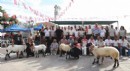 Ovacık Tarım ve Sakız Koyunu Şenliği tamamlandı
